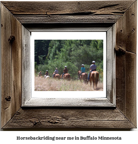 horseback riding near me in Buffalo, Minnesota